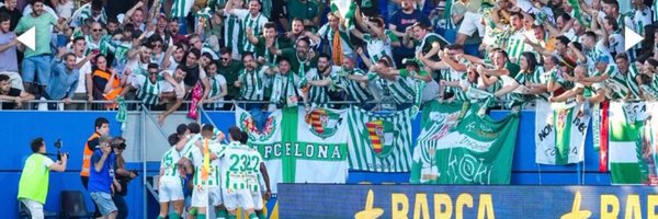 SBvCat Profile Banner