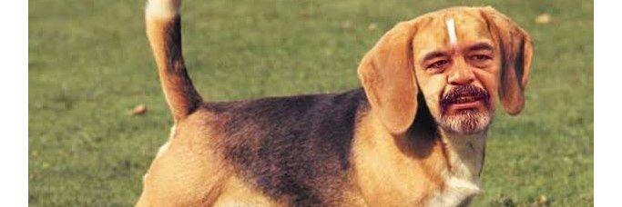 perro de chacra sin dueño ,mi amo me abandono 🐀🐀 banner
