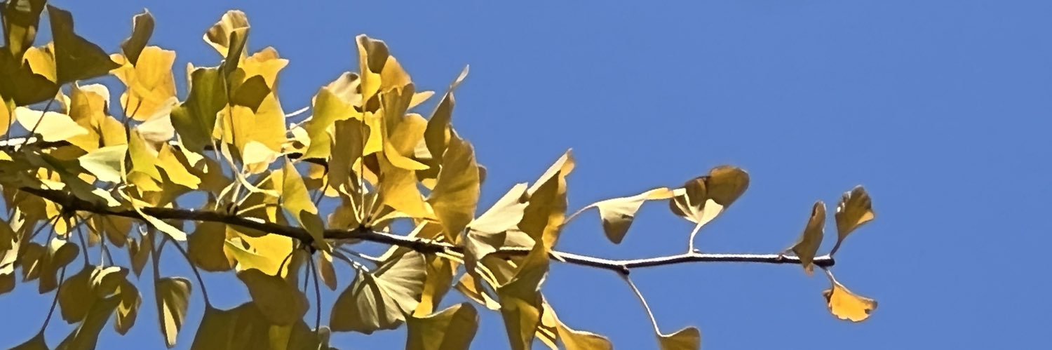 time666 banner