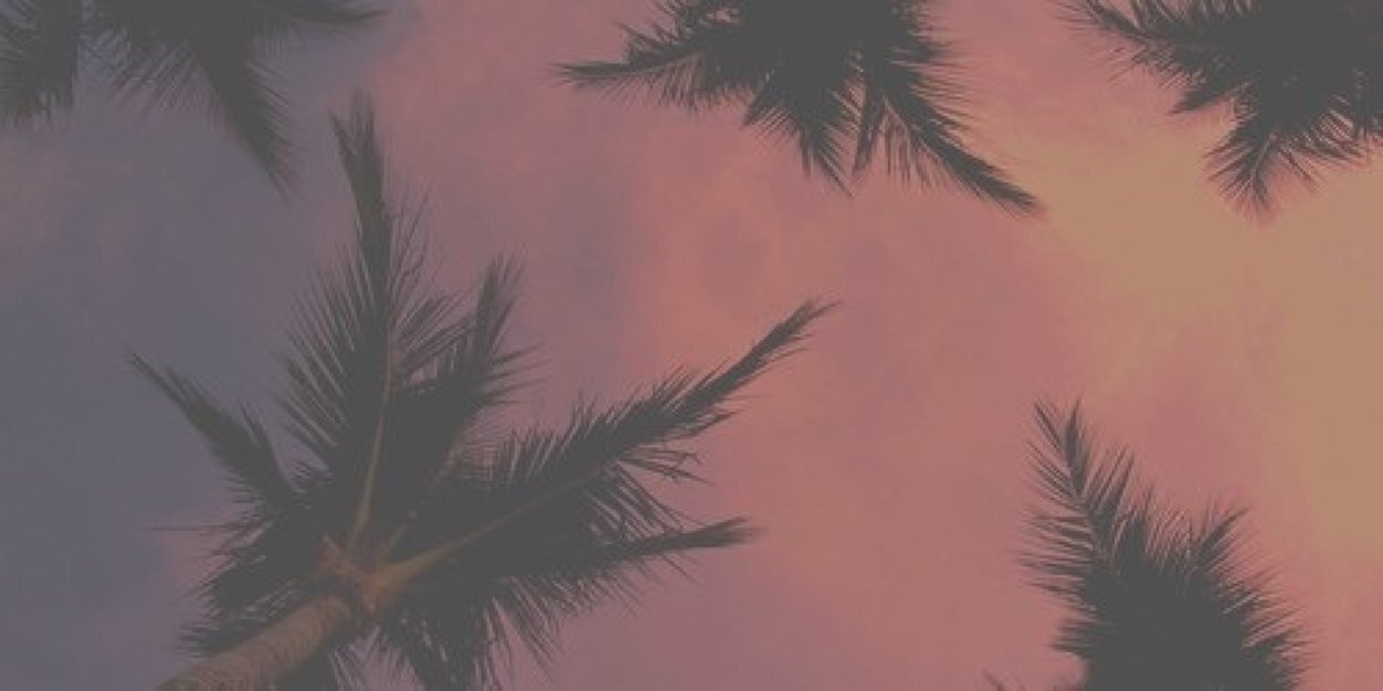 vanessamelbgdr's profile banner image