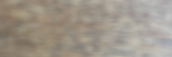 abi_chamb Profile Banner