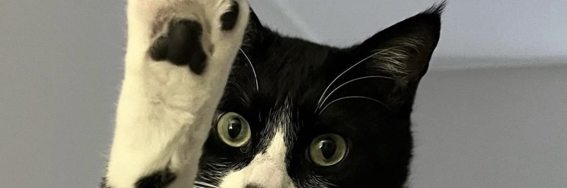 myrajojooo's profile banner image