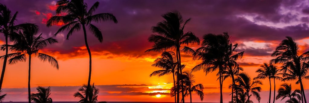 itstaaayloor's profile banner image