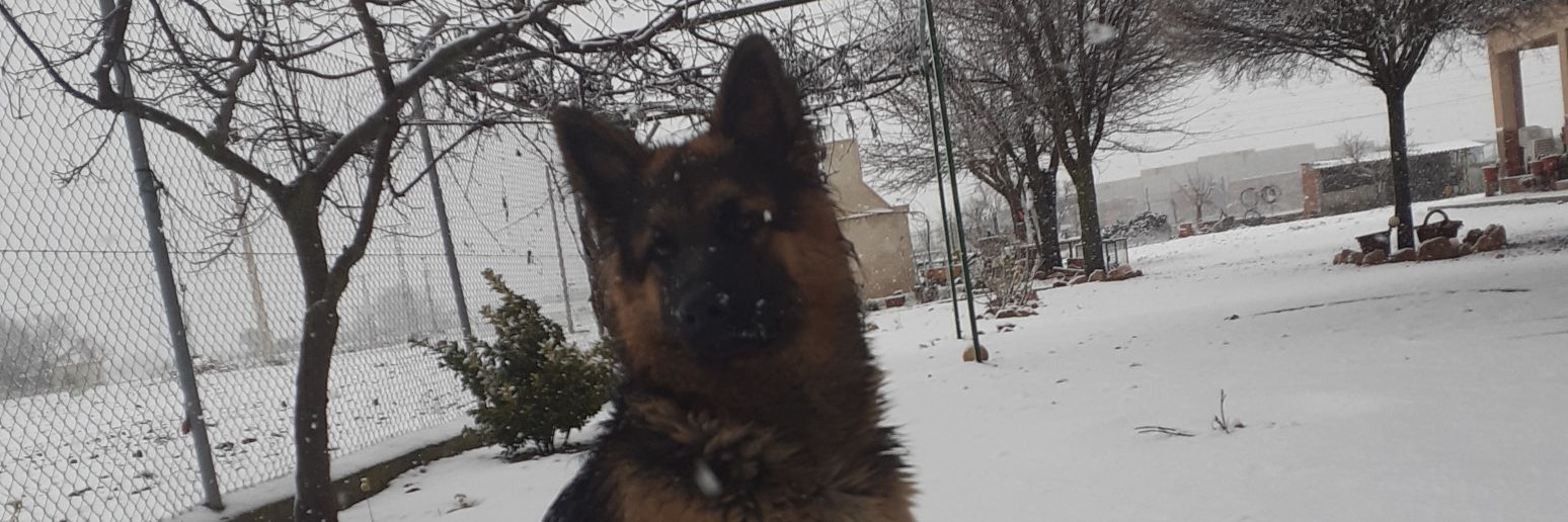 pilarmenchero's profile banner image