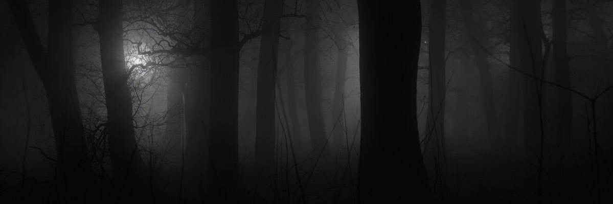 FerasBalous's profile banner image