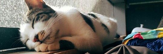 bbyminyg's profile banner image
