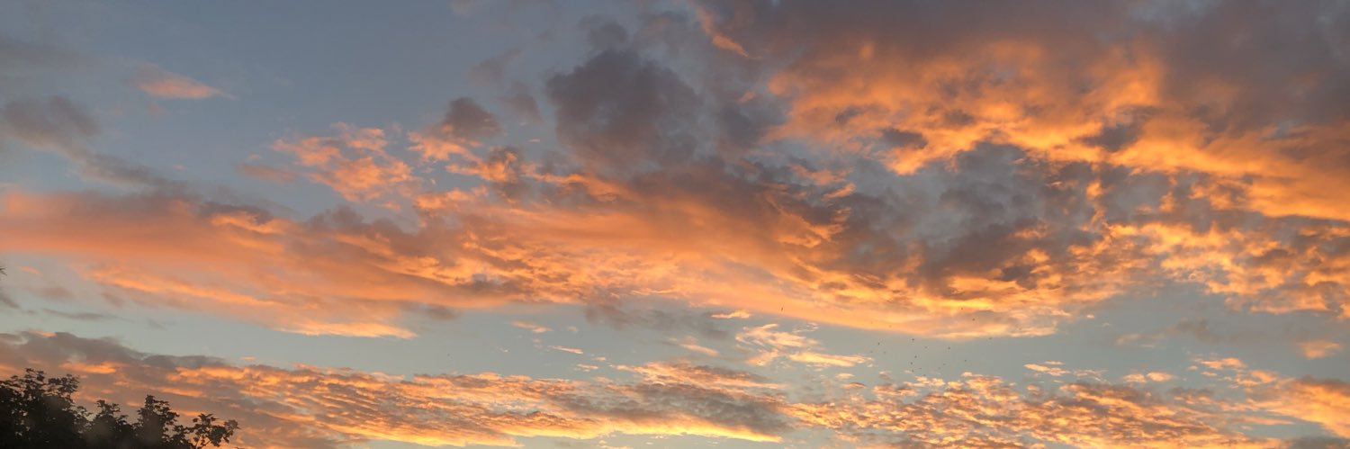 Miss_LRobertsx's profile banner image