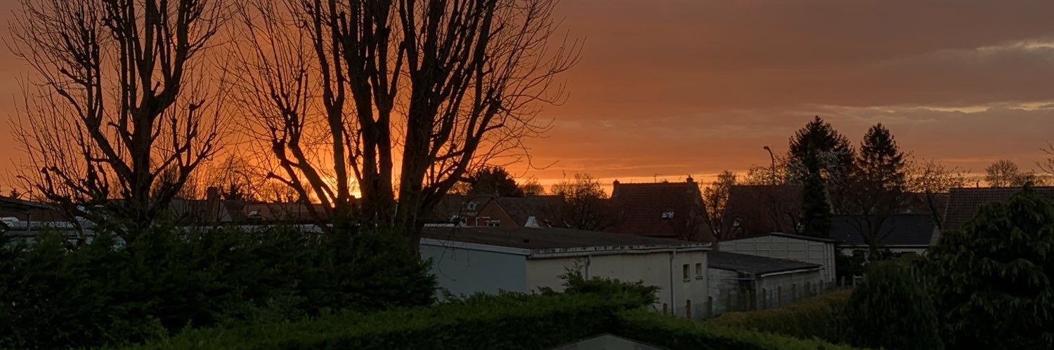 orianeben_'s profile banner image