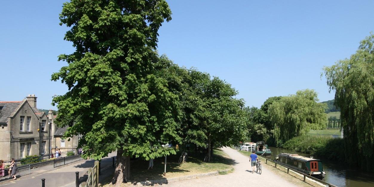 Bathampton Primary banner