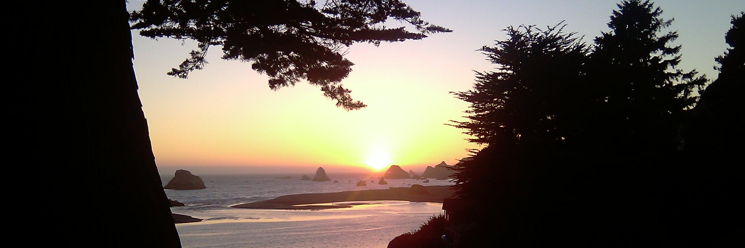 Tom_Nilles's profile banner image