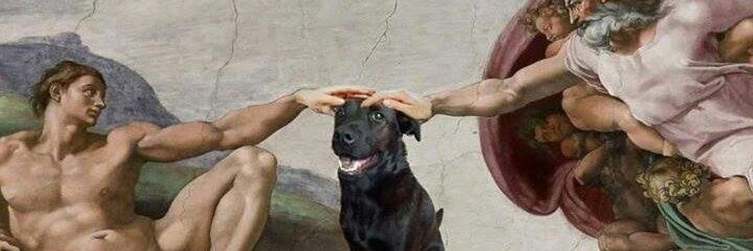 doçura intensa 🧚‍♂️ banner