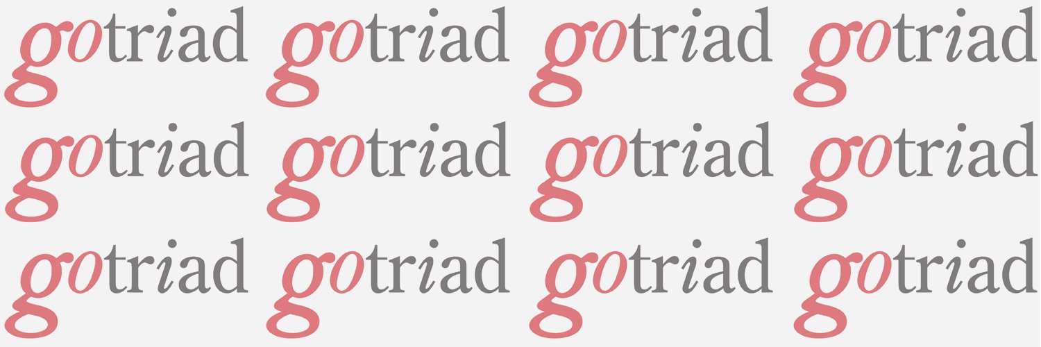 Go Triad banner