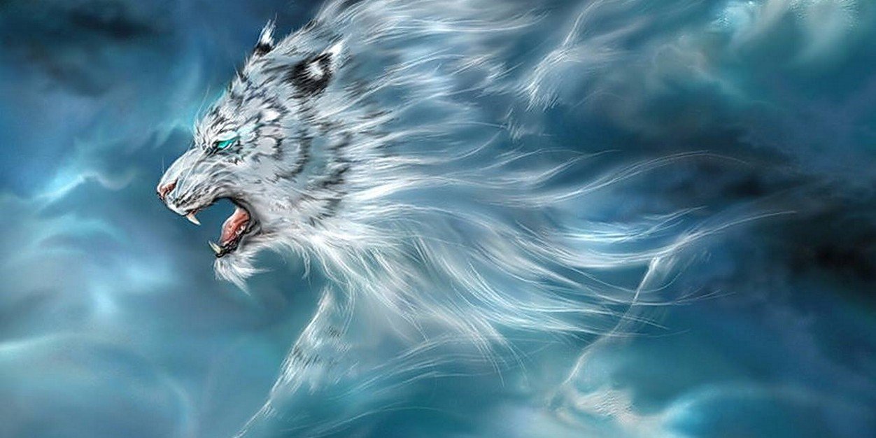 23_paylar's profile banner image