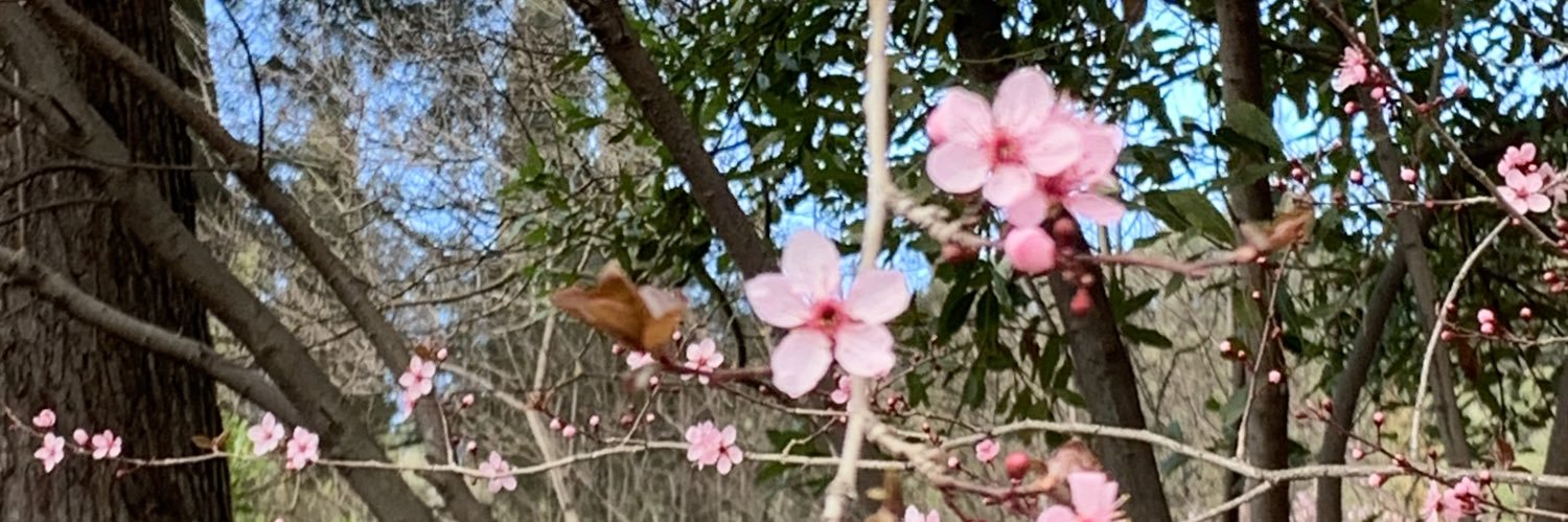 yanibassow's profile banner image