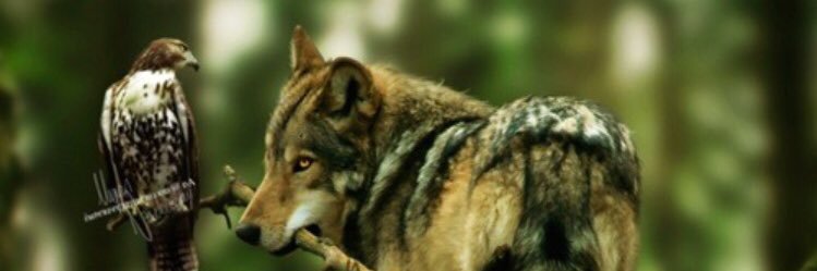 riggs256's profile banner image