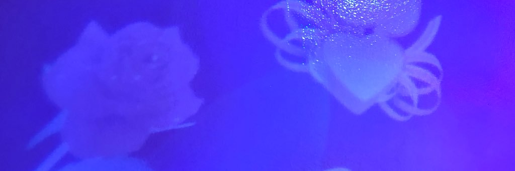 recd72fd6's profile banner image