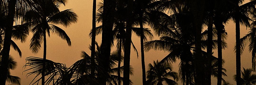 eliabegimenes_'s profile banner image