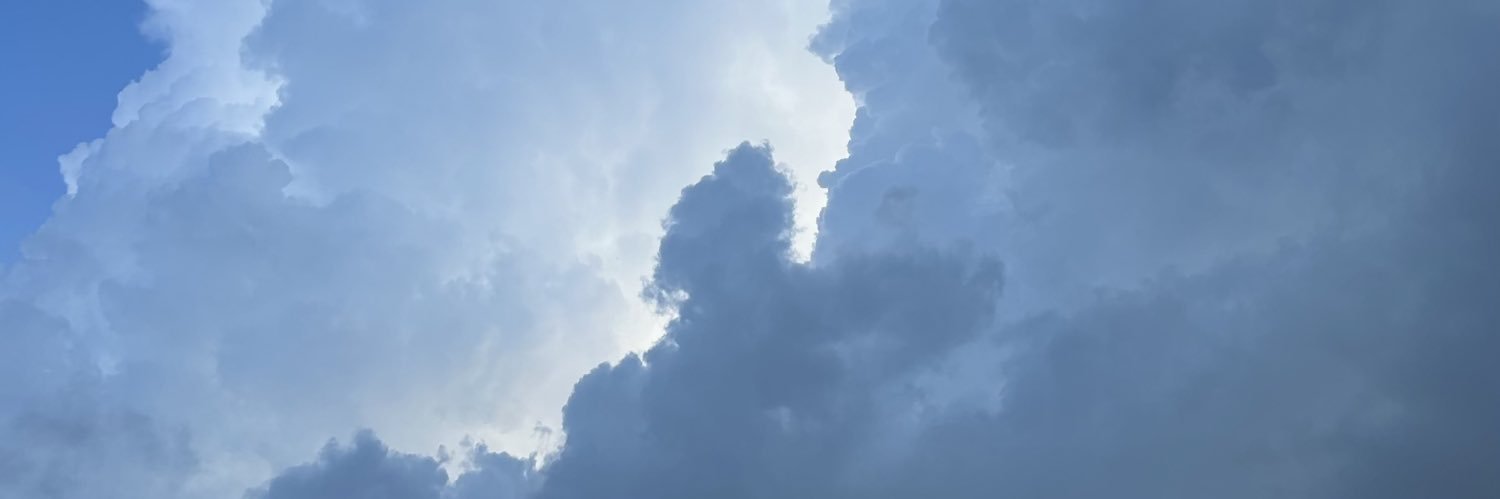 niamhyourell's profile banner image