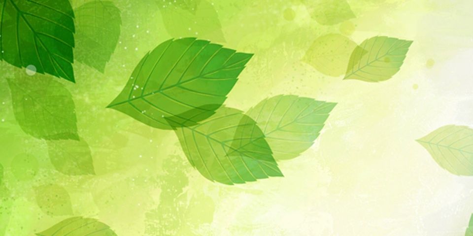 inafa_sl20's profile banner image