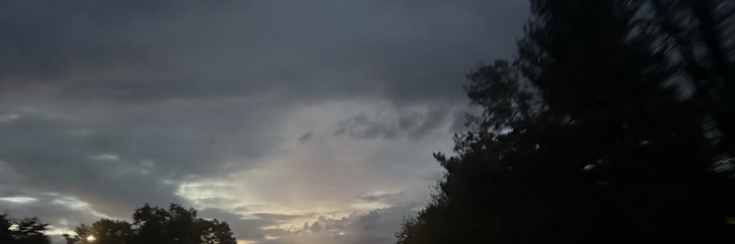 minniedimples's profile banner image