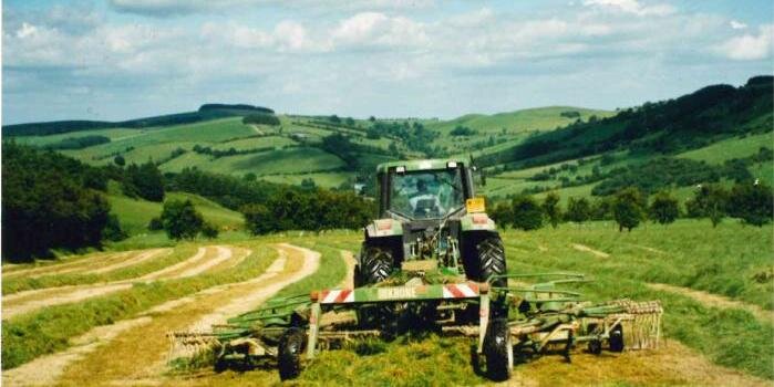 WelshGrassland's profile banner image