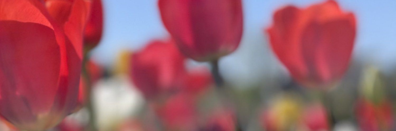 mg___s's profile banner image