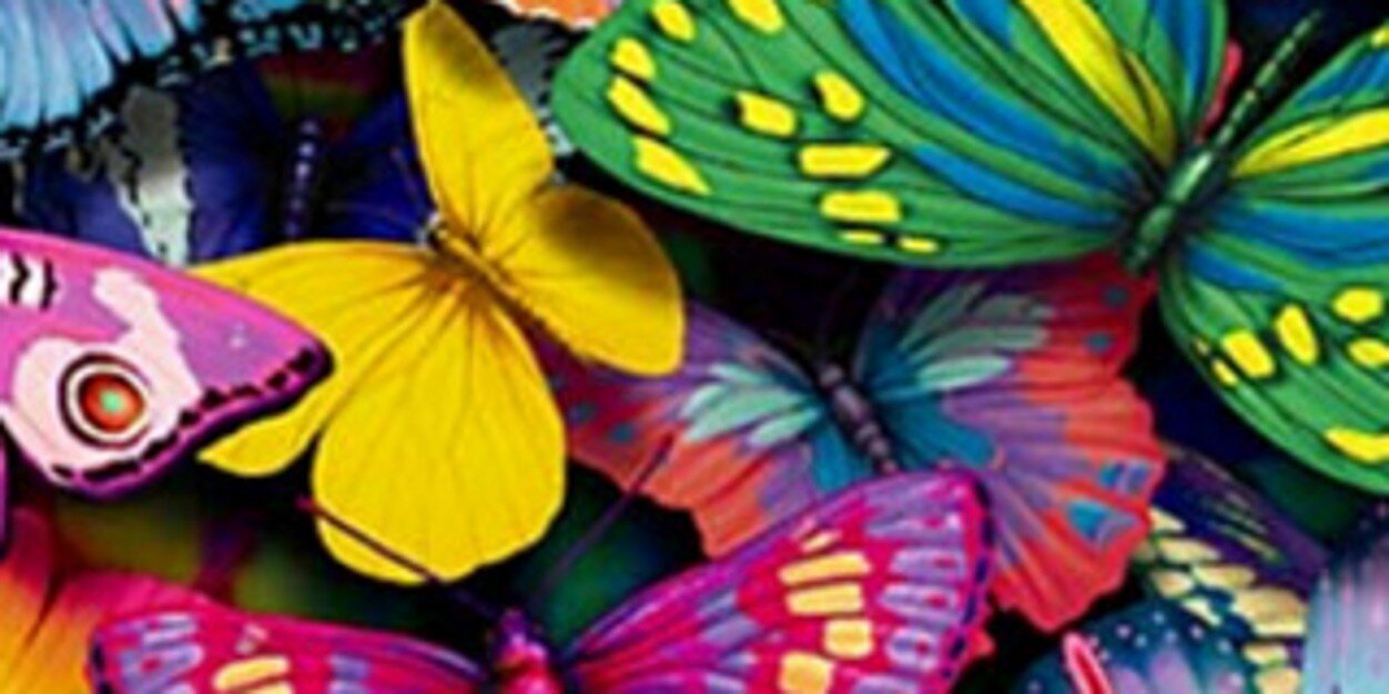 pal_pri's profile banner image
