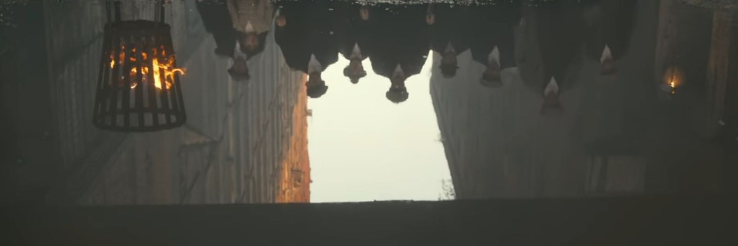 jdithnncmrb's profile banner image