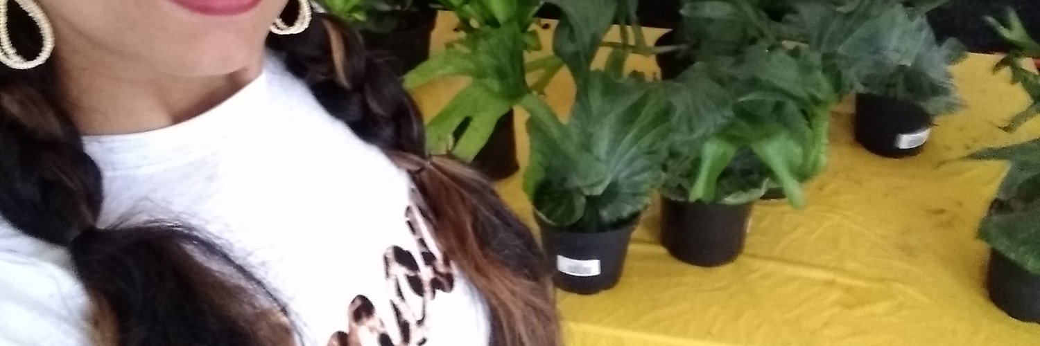 alisson2367's profile banner image