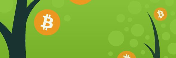 Stemfund's profile banner image