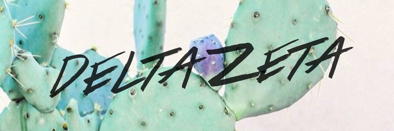 DeltaZetaFSU's profile banner image