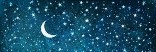 midiwolf's profile banner image