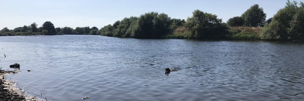 mossposs Profile Banner