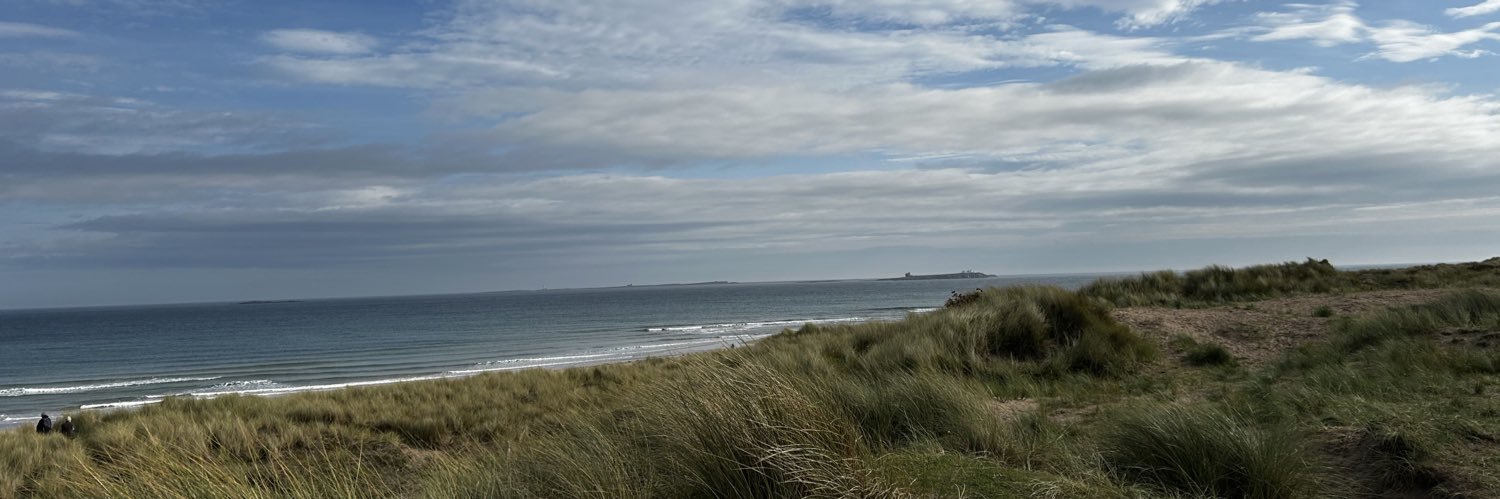 ʎ ǝ l ʎ ɐ ɥ banner