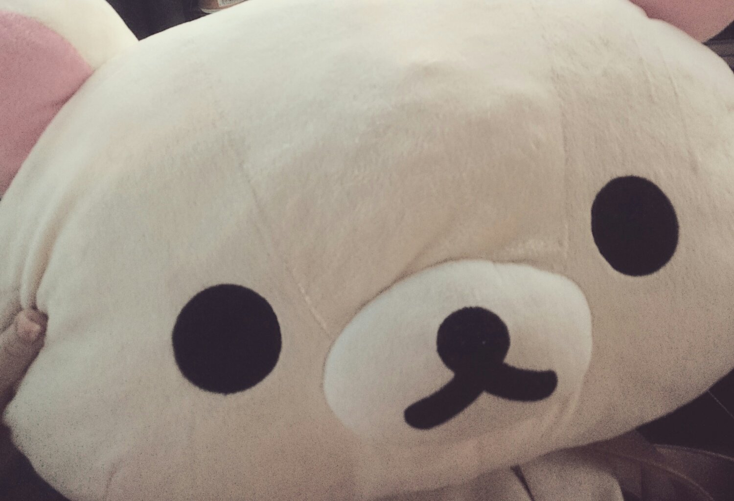 toooy_n's profile banner image