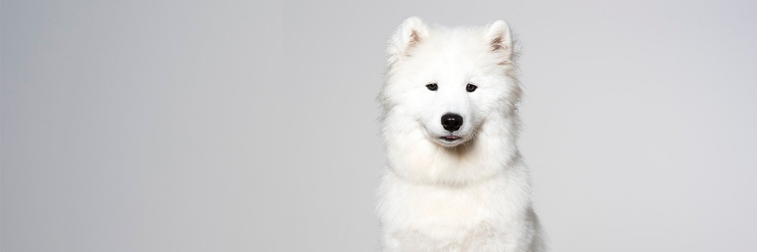 Lisa-Christina Winter Done banner