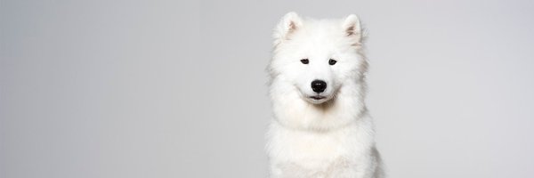 lisachwinter Profile Banner