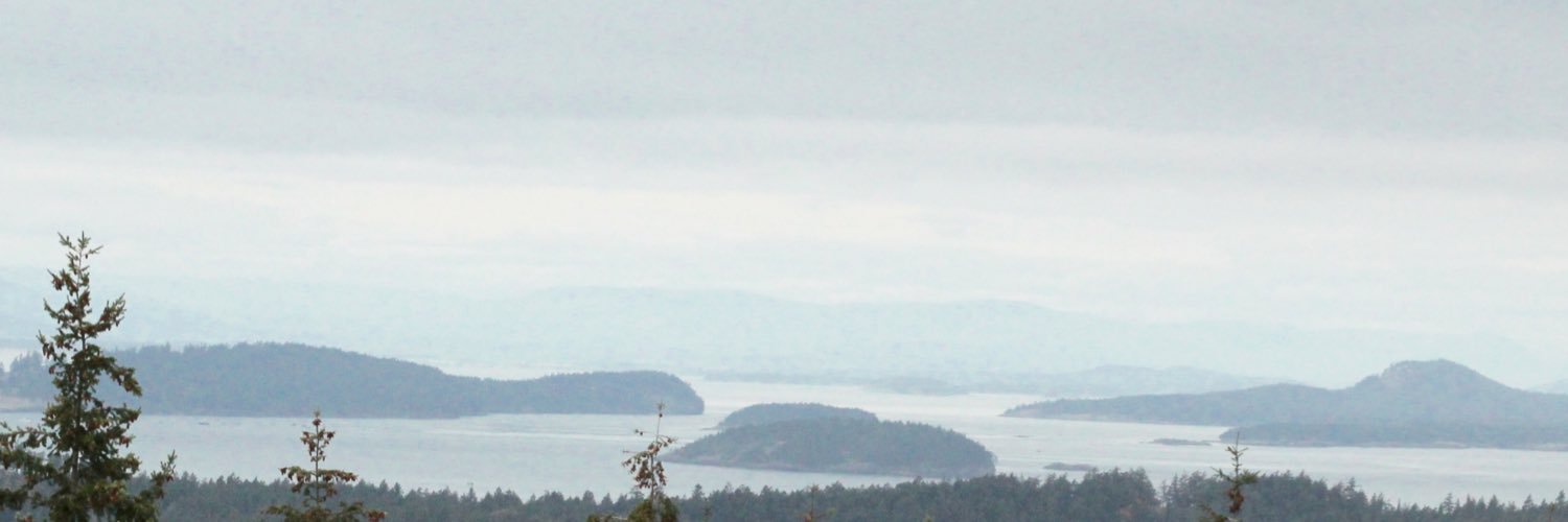 mikeamm's profile banner image