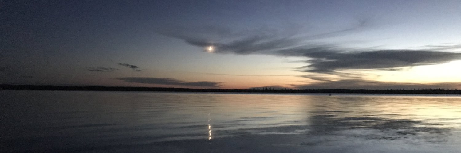 SarahLoehr's profile banner image