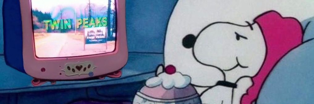 pihilu_'s profile banner image