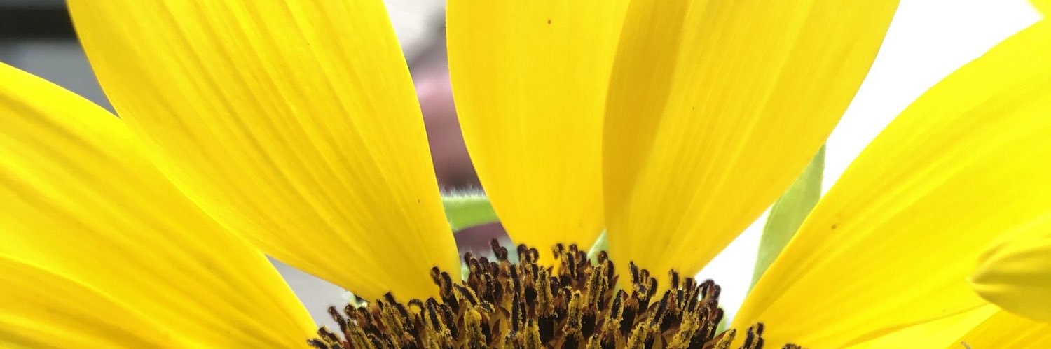 Amanda Bennett banner