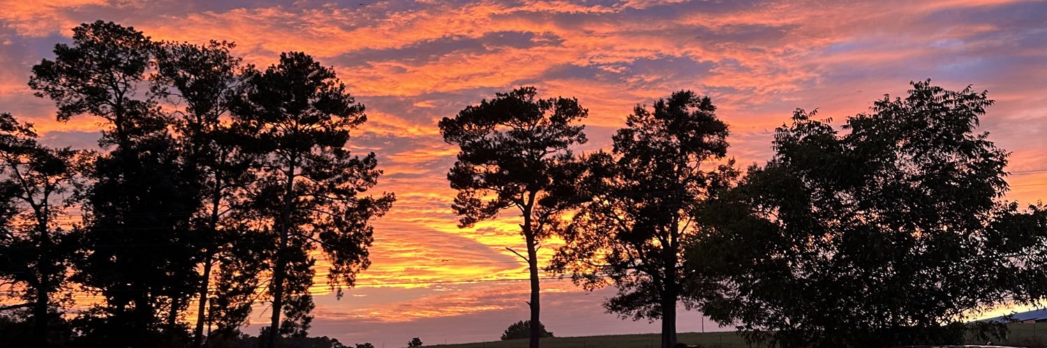 shelbeem16's profile banner image