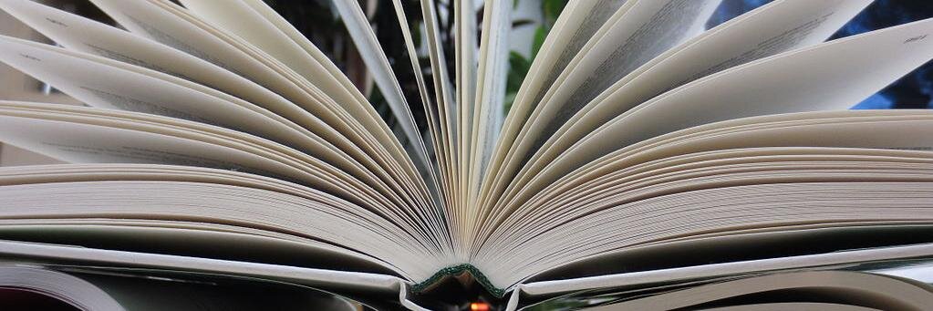 WetheHums/On Holiday banner