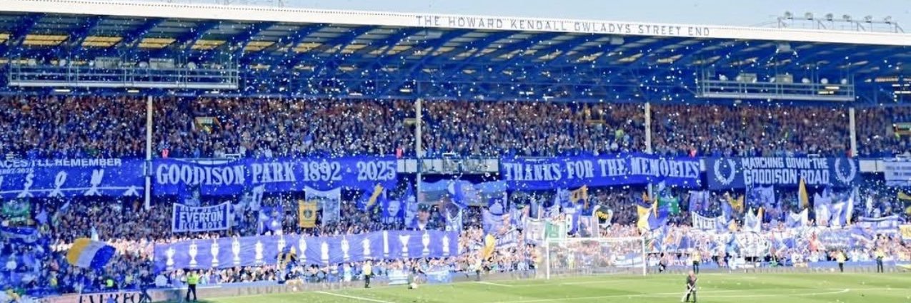 Steve's banner