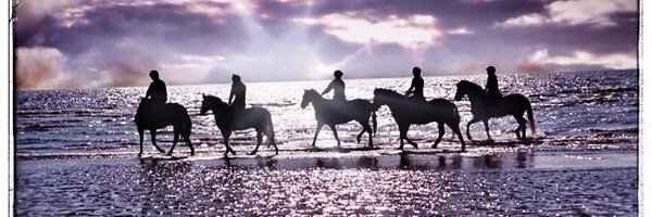 rossocallaghan1 Profile Banner