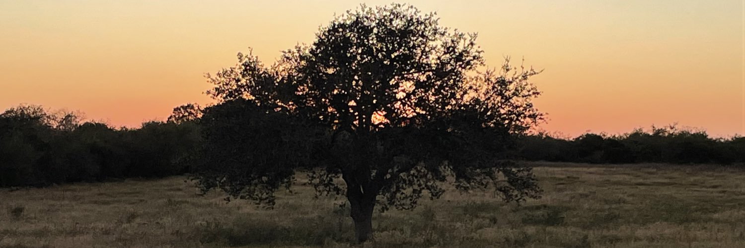 tboycpa's profile banner image