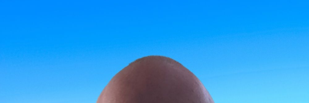 toddlyden's profile banner image