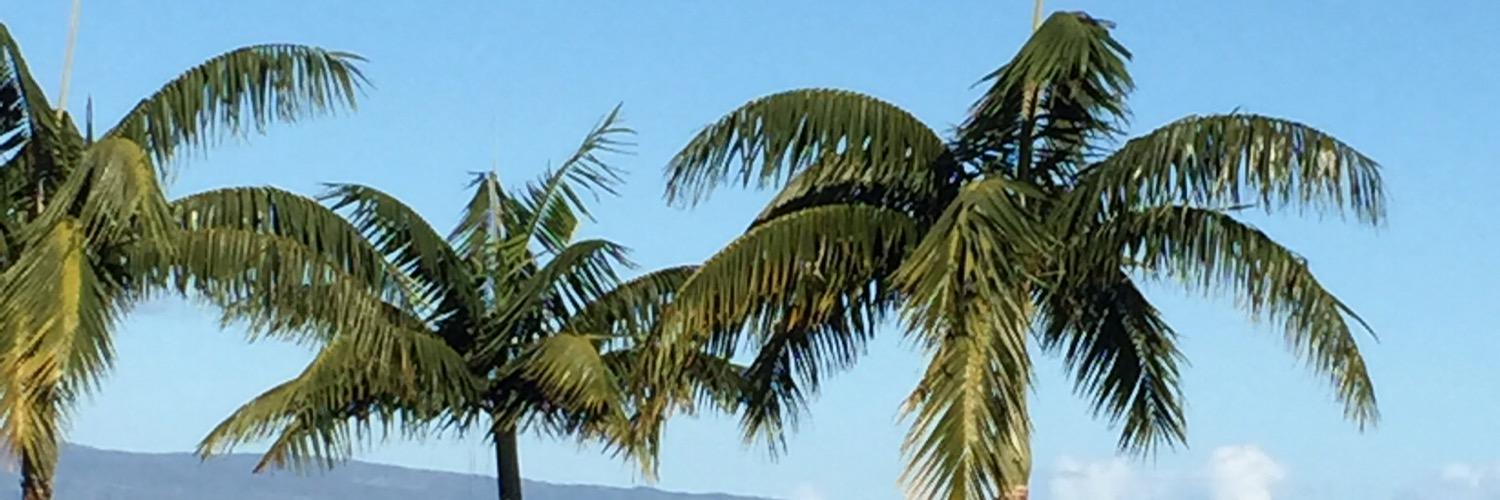 Cugs's profile banner image