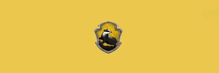 𝟏𝟕'𝐬 𝐒𝐀𝐑𝐄𝐓𝐄 🦡💛 banner