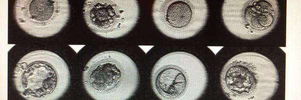 Fer_Prados Profile Banner